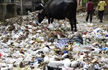 BJP struggles to clean Bangalore - and its own mess